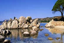 华拉度主场劲战，欲跃升积分榜